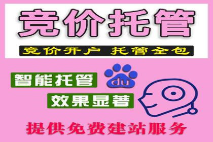 行业翘楚：百度竞价托管外包成功案例分析
